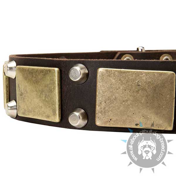 Reliable leather dog collar for everyday use