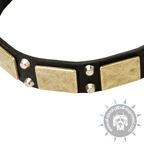 Leather dog collar fits for regular wear