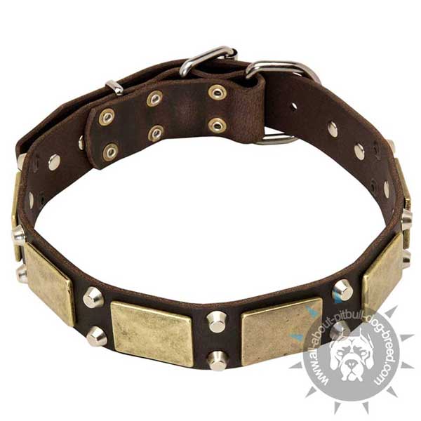 Reliable leather dog collar is   functionally fashionable