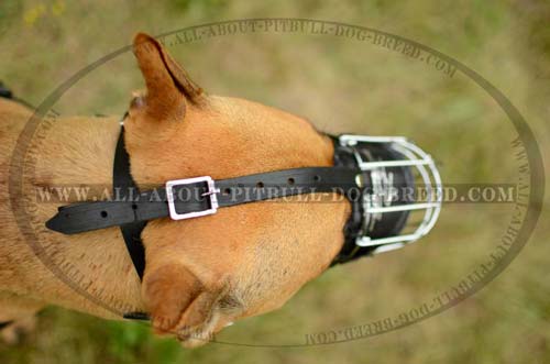 Easy-to-use Metal Pitbull Dog Muzzle