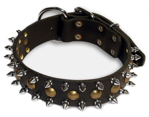 Pitbull Spiked Collars