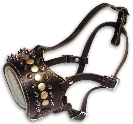 Dog Muzzle Leather