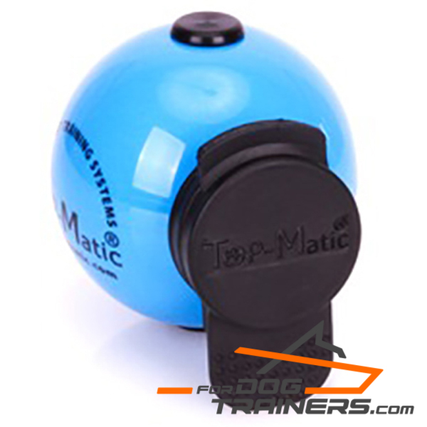 Blue dog ball for Training
