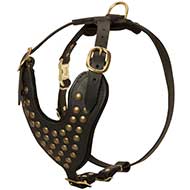 Studded Walking Dog Harness - Custom Leather Dog Harness  Studded Walking Dog Harness - Custom Leather Dog Harness