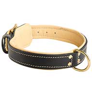 Royal Design Leather Swiss Mountain Dog Harness with Brass Studs