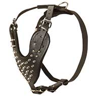 Spiked Leather Dog Harness for Pitbull - Custom Dog Harness  Spiked Leather Dog Harness for Pitbull - Custom Dog Harness