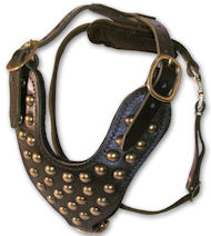 Two-Ply Latigo Dog Harness with Studs for Pitbull  Two-Ply Latigo Dog Harness with Studs for Pitbull