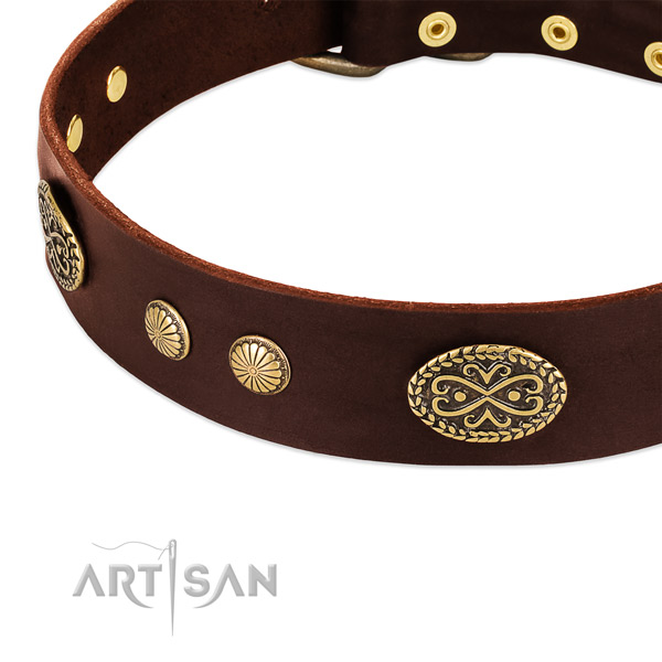 Reliable adornments on Genuine leather dog collar for your four-legged friend
