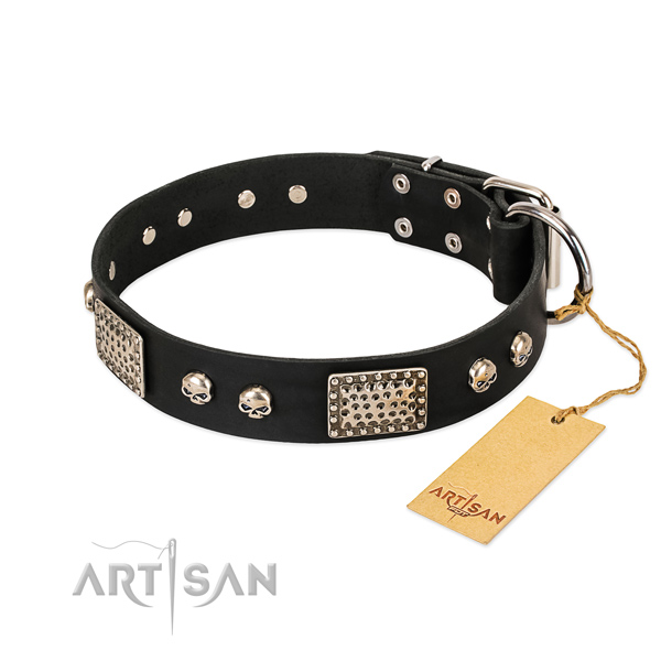 Easy to adjust full grain leather dog collar for basic training your canine