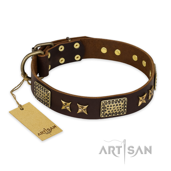 Perfect fit leather dog collar with durable fittings