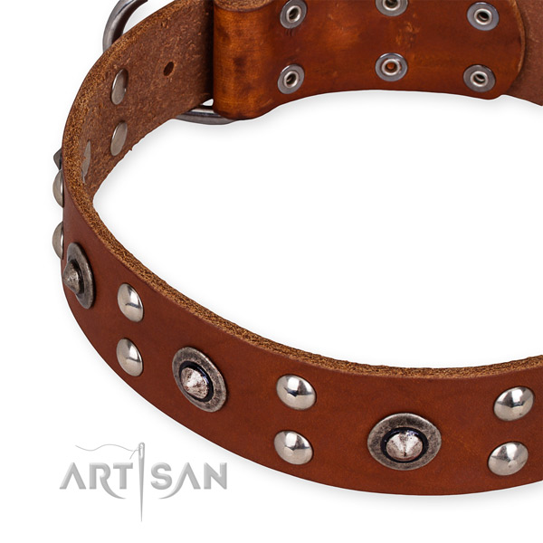 Genuine leather collar with strong D-ring for your beautiful canine