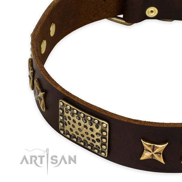 Full grain leather collar with corrosion resistant D-ring for your beautiful four-legged friend