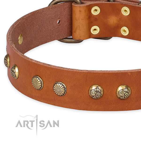 Full grain genuine leather collar with durable D-ring for your stylish dog