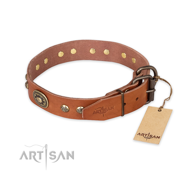 Strong hardware on leather collar for walking your pet
