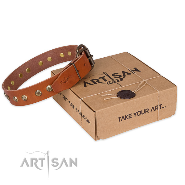 Corrosion proof traditional buckle on leather collar for your stylish doggie