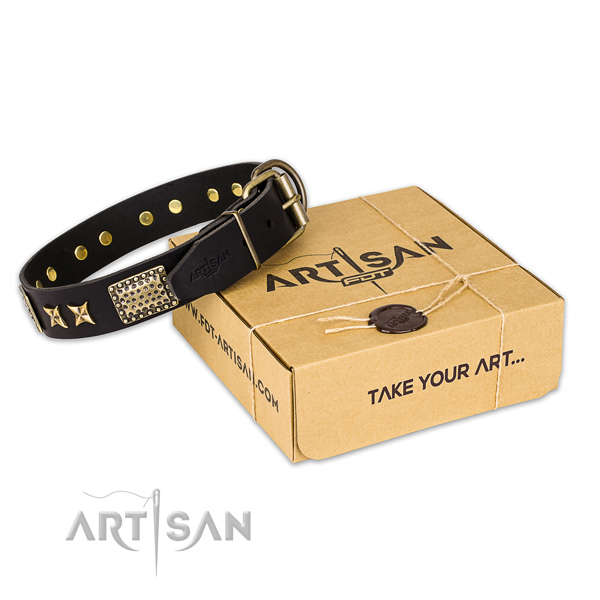 Durable traditional buckle on natural genuine leather collar for your attractive dog