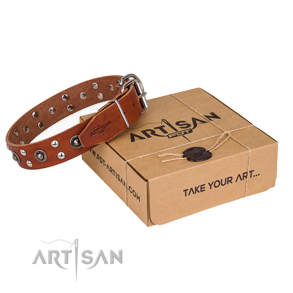 Durable traditional buckle on full grain natural leather collar for your handsome dog