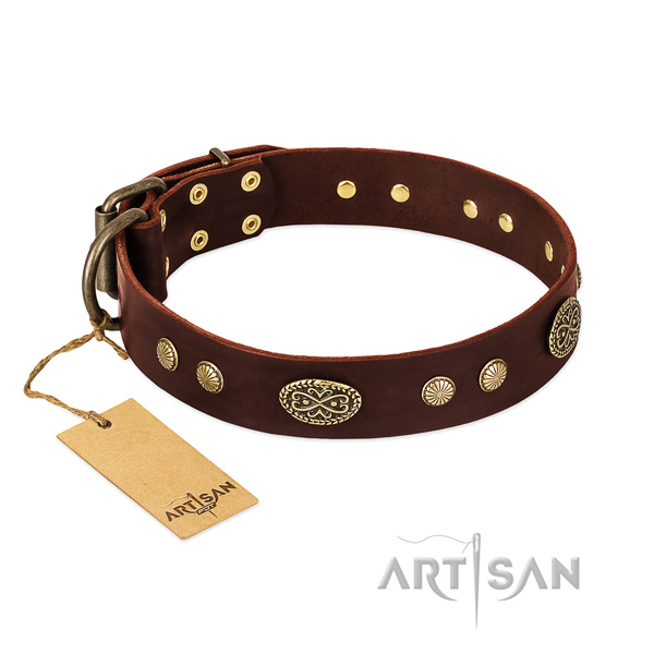 Rust resistant adornments on genuine leather dog collar for your four-legged friend