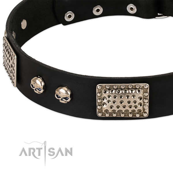 Corrosion proof embellishments on full grain leather dog collar for your doggie