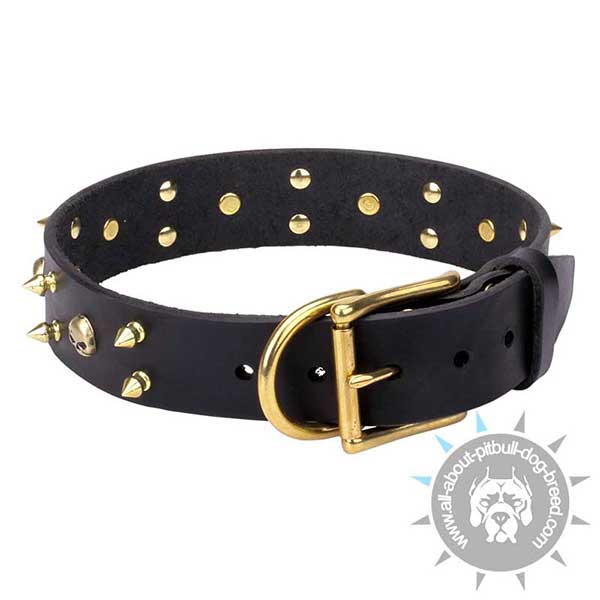 Decorated Leather Collar with Solid Fittings