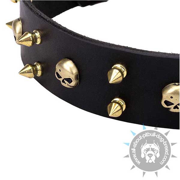 Adorned with Skulls and Spikes Leather Collar