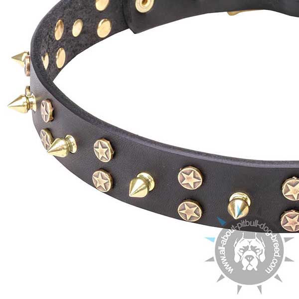 Brass Decorations on Leather Dog Collar