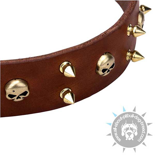 Wide Leather Collar with Brass Decoration