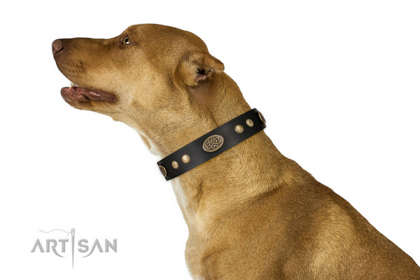 Corrosion resistant fittings on leather dog collar