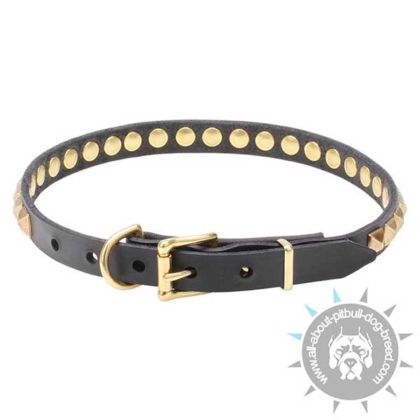 Pitbull Leather Dog Collar with Strong Buckle and D-ring