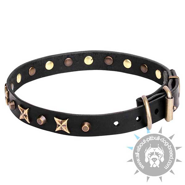 Exclusive Leather Collar with Rust-free Fittings