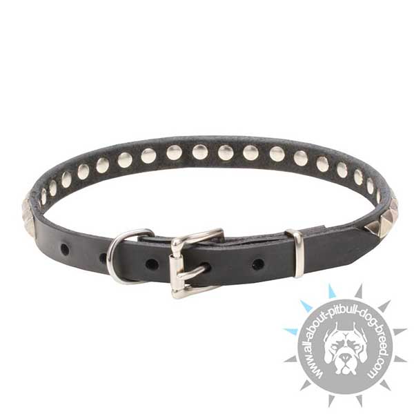 Studded Leather Collar with Chrome Plated Buckle and D-ring