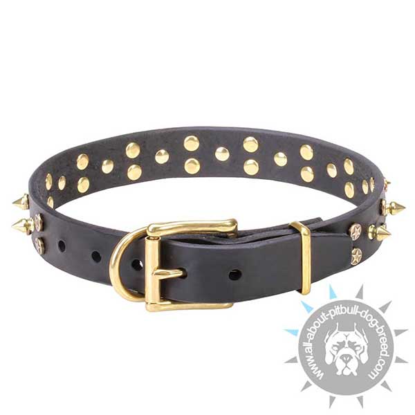 Chic leather Collar with Brass Buckle and D-ring