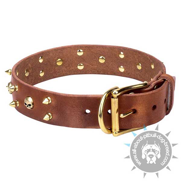 Decorated brown Leather Collar with Reliable Hardware