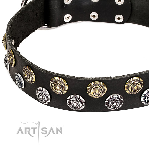 Natural genuine leather dog collar with extraordinary studs