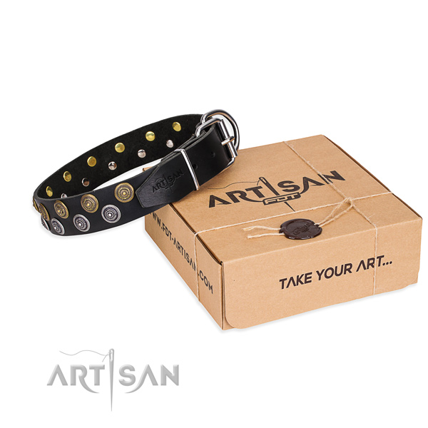 Leather dog collar with adornments for daily walking