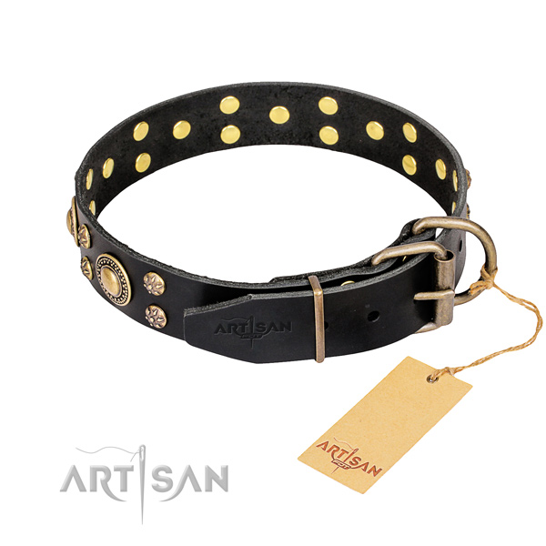 Everyday walking full grain natural leather collar with adornments for your four-legged friend