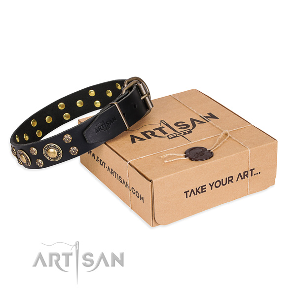 Awesome full grain genuine leather dog collar for stylish walks