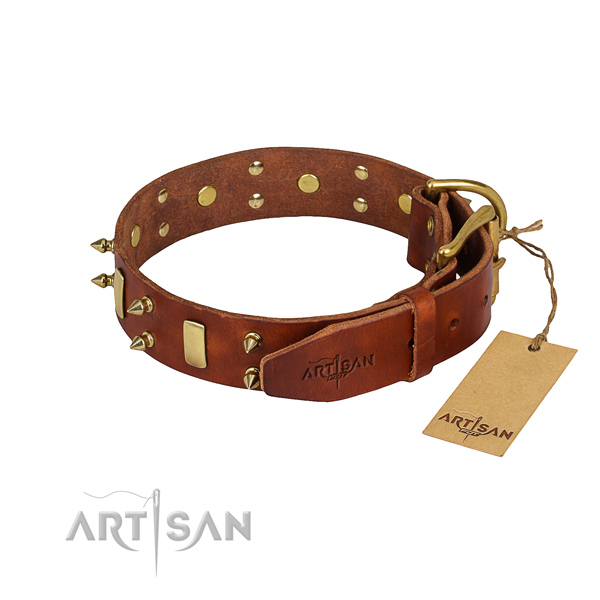 Indestructible leather dog collar with rust-resistant details