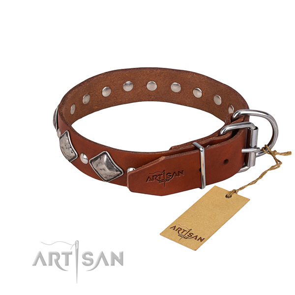 Sturdy leather dog collar with riveted hardware