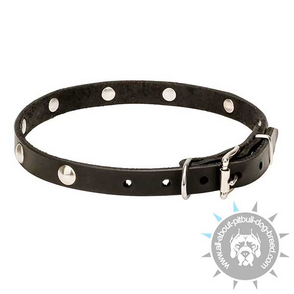 Narrow  Leather Collar with Riveted Decoration