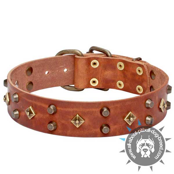 Handmade Tan Leather Pitbull Collar with Brass and Bronze-plated Fittings