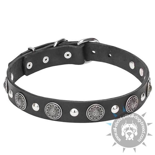 Leather Dog Collar Decorated with Mix of Studs