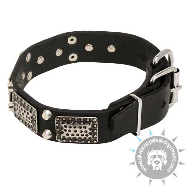 Studded Leather Collar  with Massive Plates