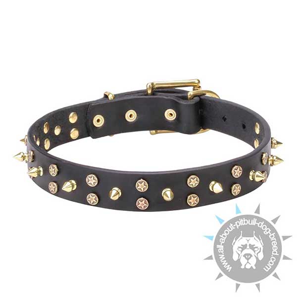 Designer leather Collar with Catchy Stars and Spikes