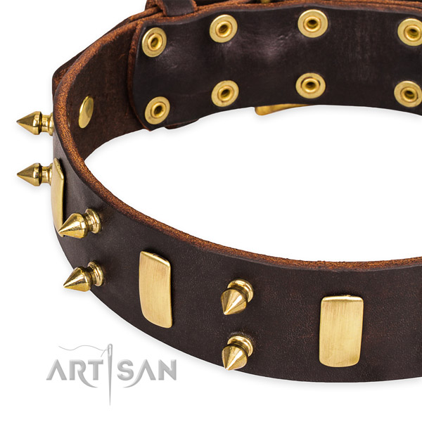 Snugly fitted leather dog collar with almost unbreakable non-rusting buckle and D-ring