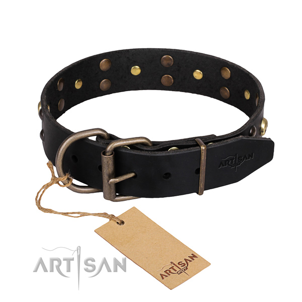 Reliable leather dog collar with rust-proof hardware