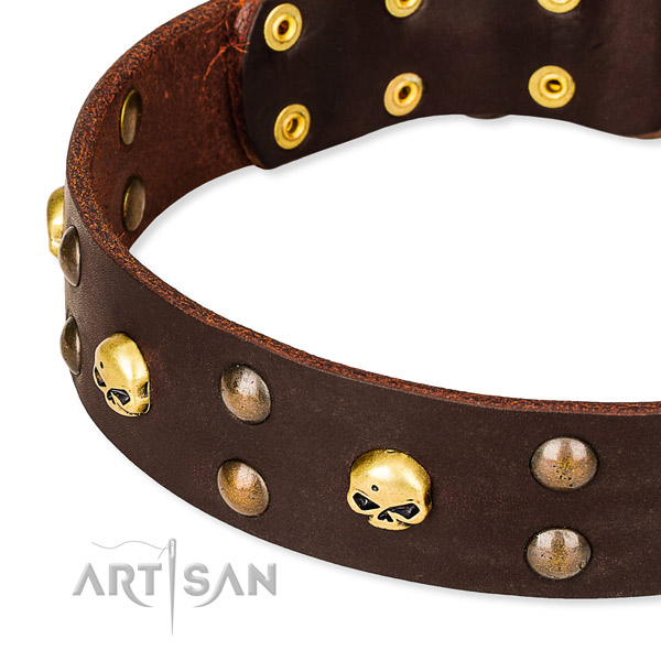 Top notch leather dog collar for fail-safe use