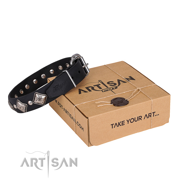 Day-to-day leather dog collar with extraordinary decorations