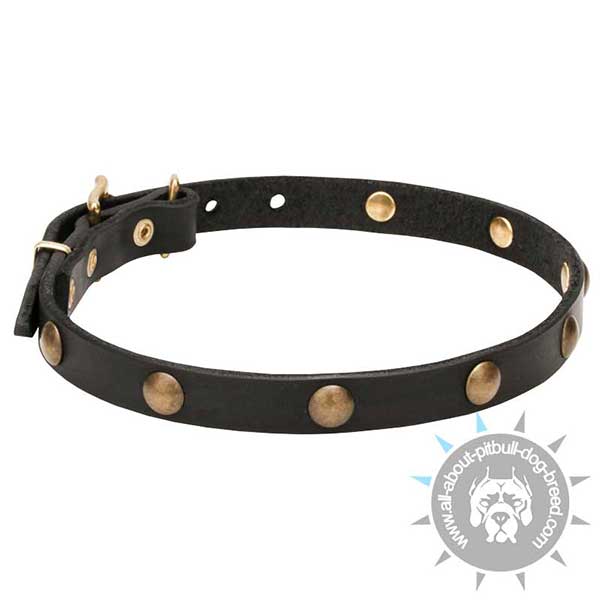 High- quality Studded Leather Collar