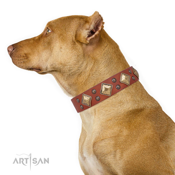 Easy wearing embellished dog collar made of durable genuine leather